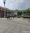 T-JP25205 (1).jpg